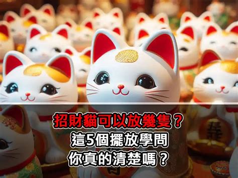 招財貓可以放幾隻|【招財貓冷知識】招財貓左右手意思大不同？不同顏色…